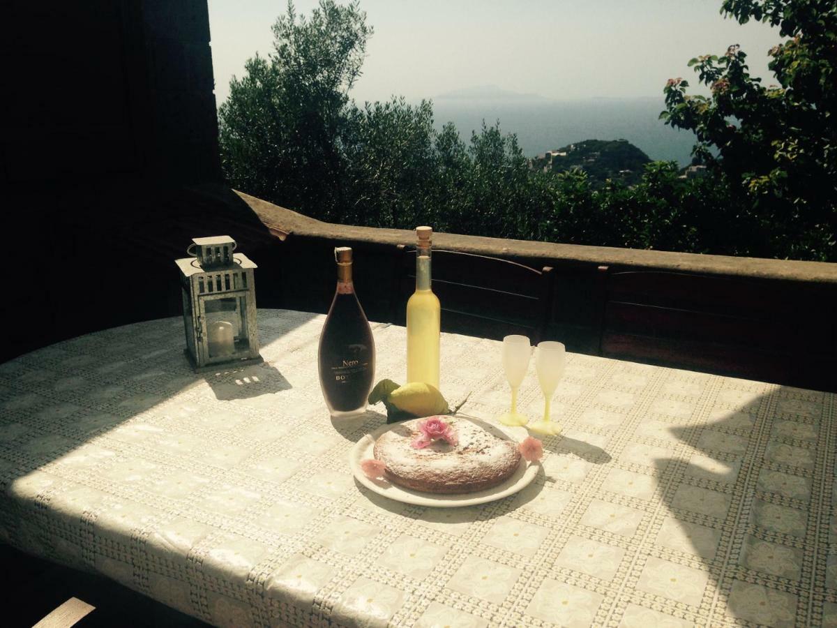 Apartamento Terrazza Sul Golfo Massa Lubrense Exterior foto